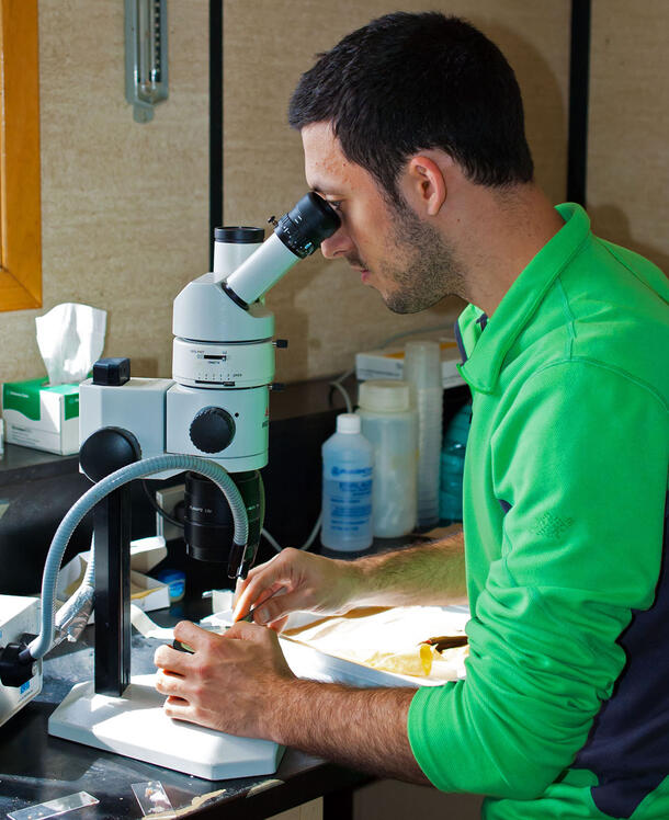 Foox sits at a lab table and looks intently into his microscope.