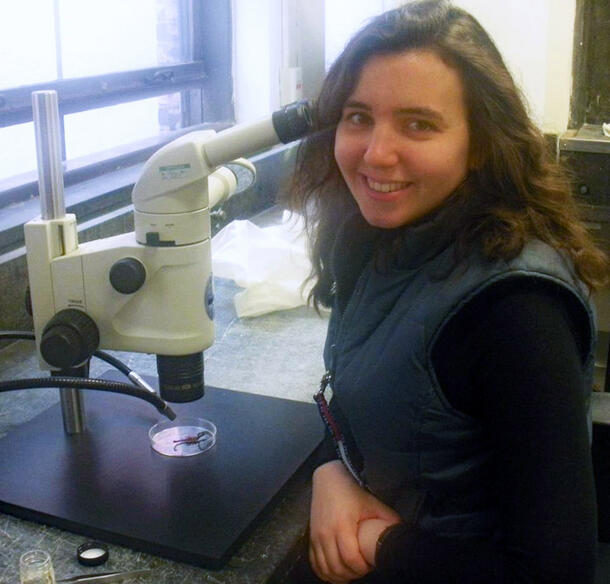 Stephanie Loria sits at her lab table in front of a microscope.