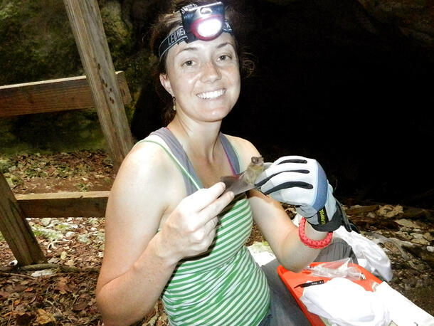 Kelly wears a headlamp and sits on the ground in a cave, holding a small bat in a gloved hand.