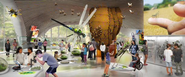 (left) Rendering shows visitors viewing larger-than-life insect models as well as live specimens. (right top) Cricket sits on the tip of a finger. 