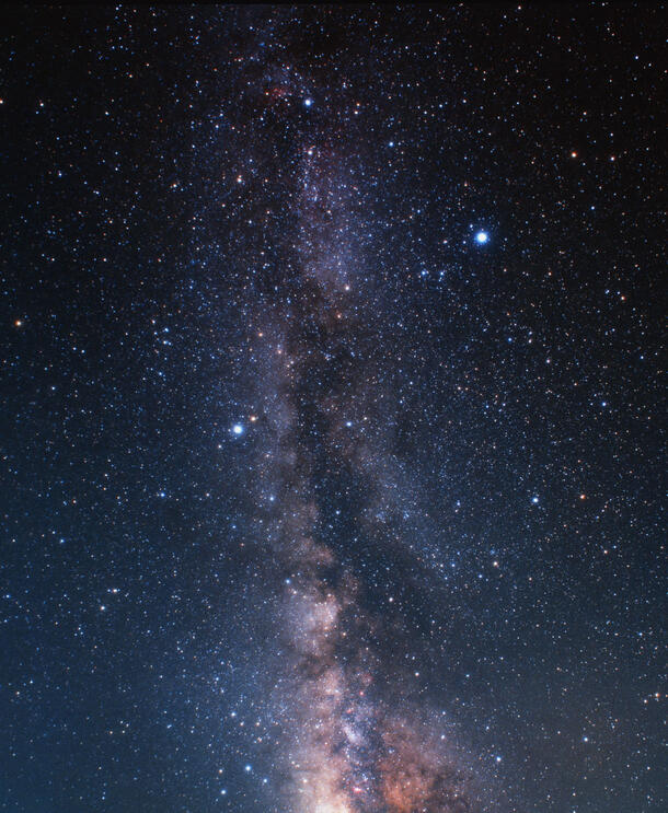 Many stars of various levels of brightness fill a dark night sky.