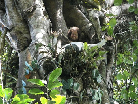 Michael lies back against a tree trunk about halfway up the tree.