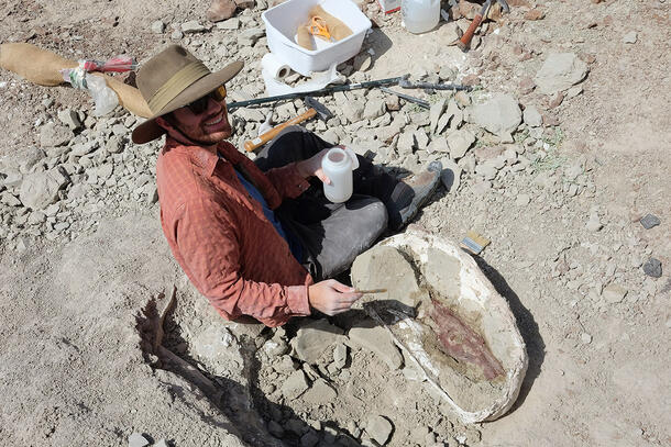 Zac sits in rocky soil, surrounded by brushes, chisels and other tools as he works on removing a fossil from the surrounding dirt.