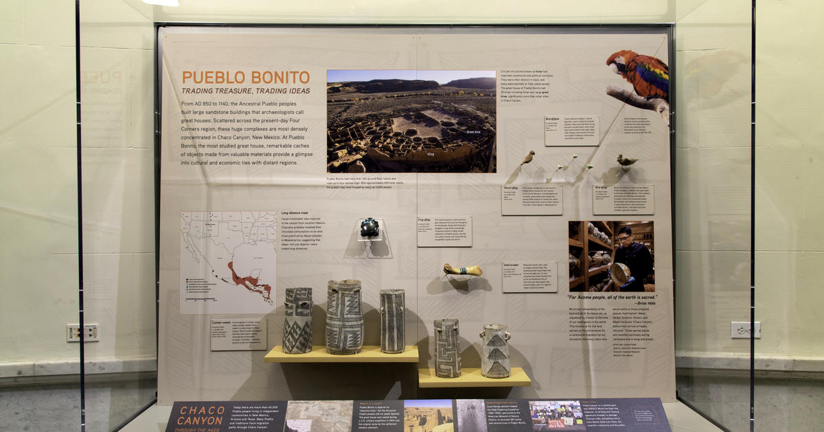 Exhibition History | AMNH