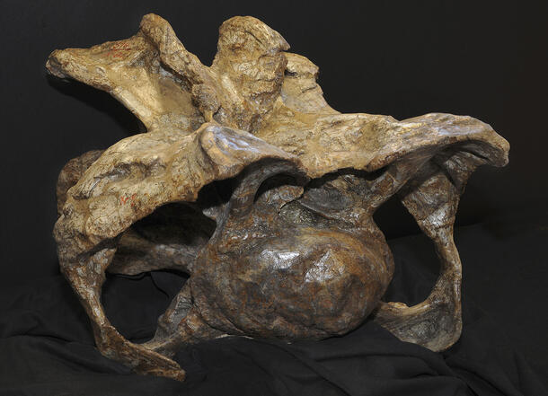 Camarasaurus vertebra.