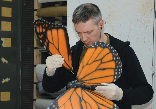Man wearing protective latex gloves attaches a wing to a larger-than-life butterfly model.