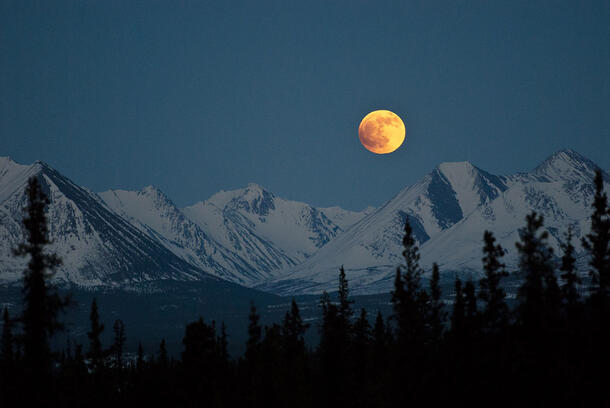Moon rises over snowcapped mountains and evergreen trees.