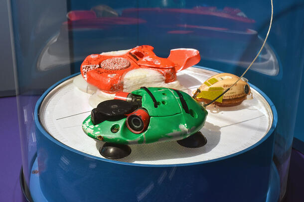 A display table holds three whale tags of various shapes and sizes.