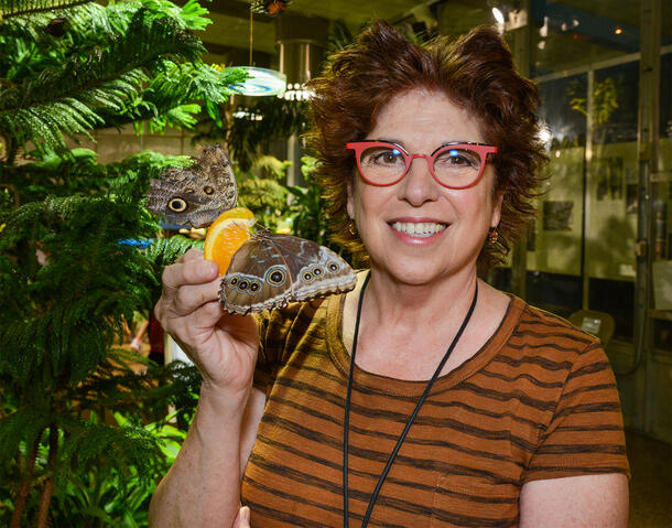 Diana Engel holds up an orange slice on which two butterflies have landed.