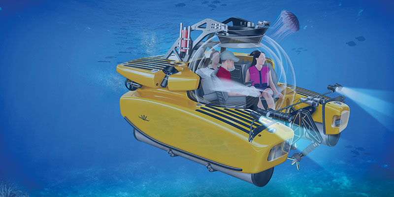 A submersible hotsell