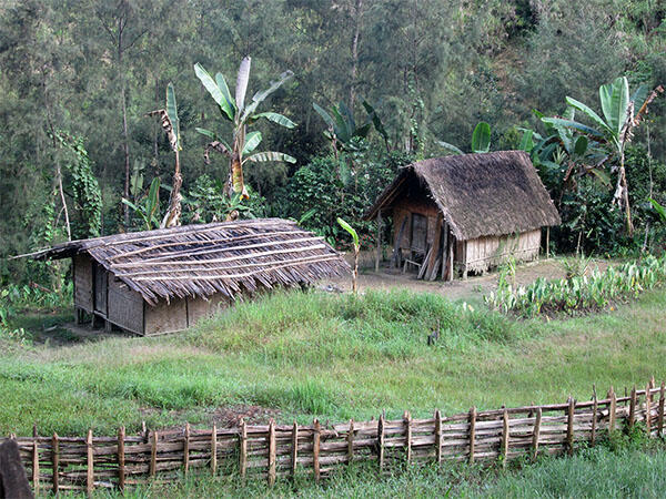 Two thatched-roofed structures sit inside a fenced-in field next to a wooded area.