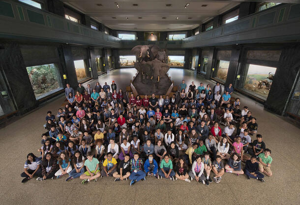 Large group of students pose in front of the elephant specimens on display in the Akeley Hall of African Mammals.