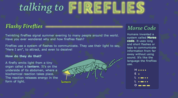 Talking to Fireflies Screenshot April 17 2013