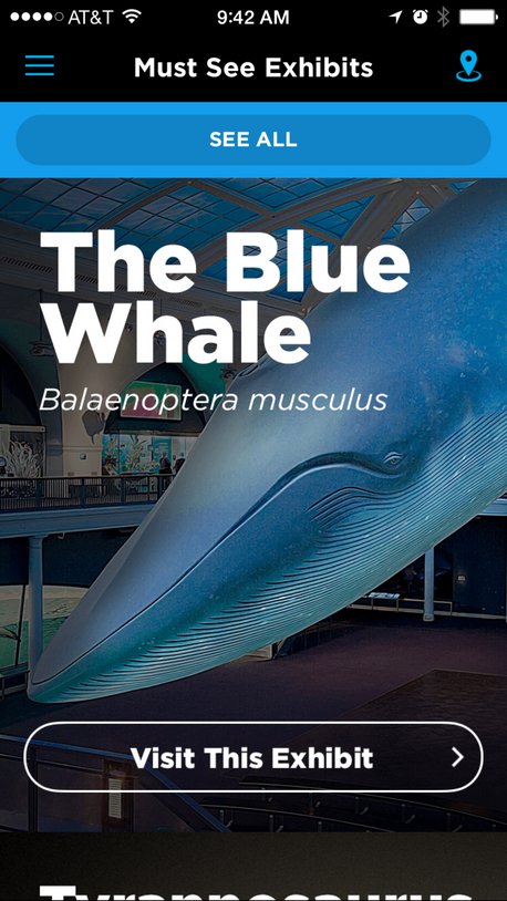 Blue Whale Explorer 