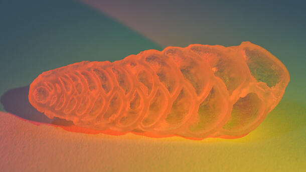 Foram 3D Print 