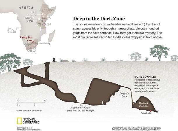 A National Geographic page featuring a visualization of the difficult to access Dinaledi chamber in the Rising Star cave in South Africa.