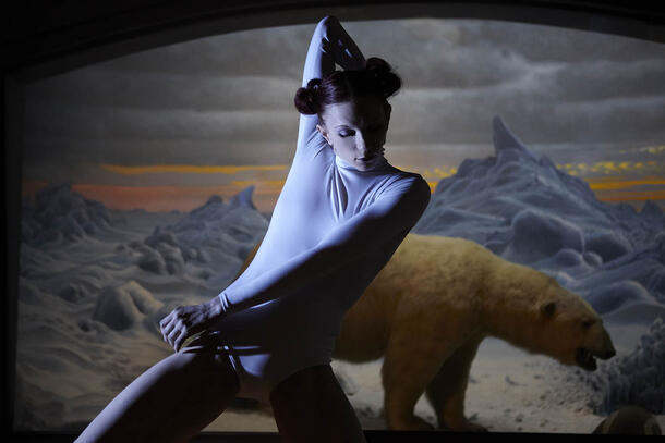 A female dancer posing before a background showing a polar in a snowy Arctic environment.