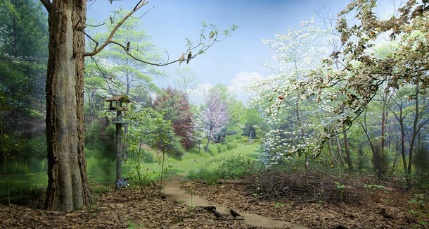 Diorama of Oyster Bay Sanctuary, a forest with a birdhouse and a path through the center and a variety of birds on the ground and in the trees.