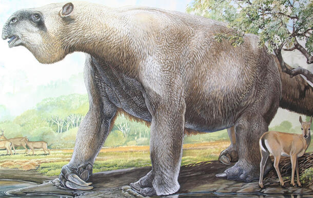 An illustration of a giant ground sloth in a forested environment. 