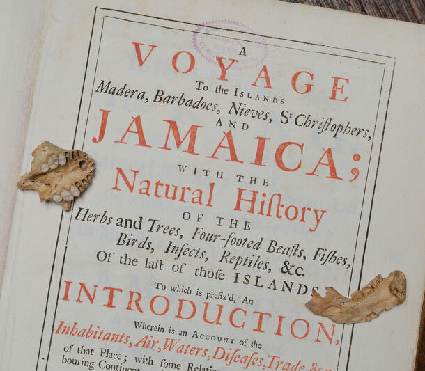 Xenothrix skull rests on the title page of book, "Voyage to the Islands Madera, Barbados, Nieves, St. Christophers and Jamaica".