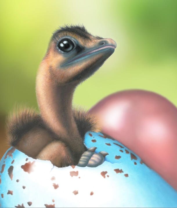 Artist’s representation of Deinonychus hatching from its egg.