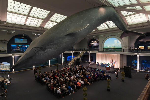 Guests and honorees gather for a graduation ceremony under the Museum’s blue whale