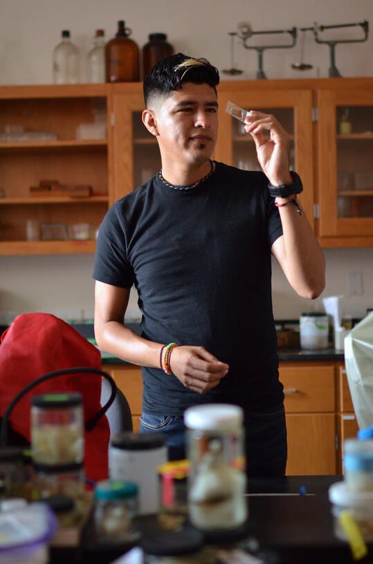 Adolfo Lara (Richard Gilder Graduate School) stands in a lab at the Museum of Natural History, and looks at a slide.