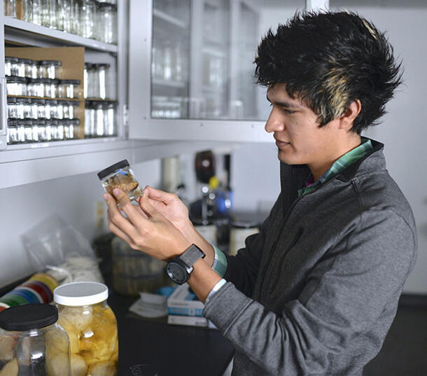 Adolfo Lara (Richard Gilder Graduate School) examines a specimen in a jar.