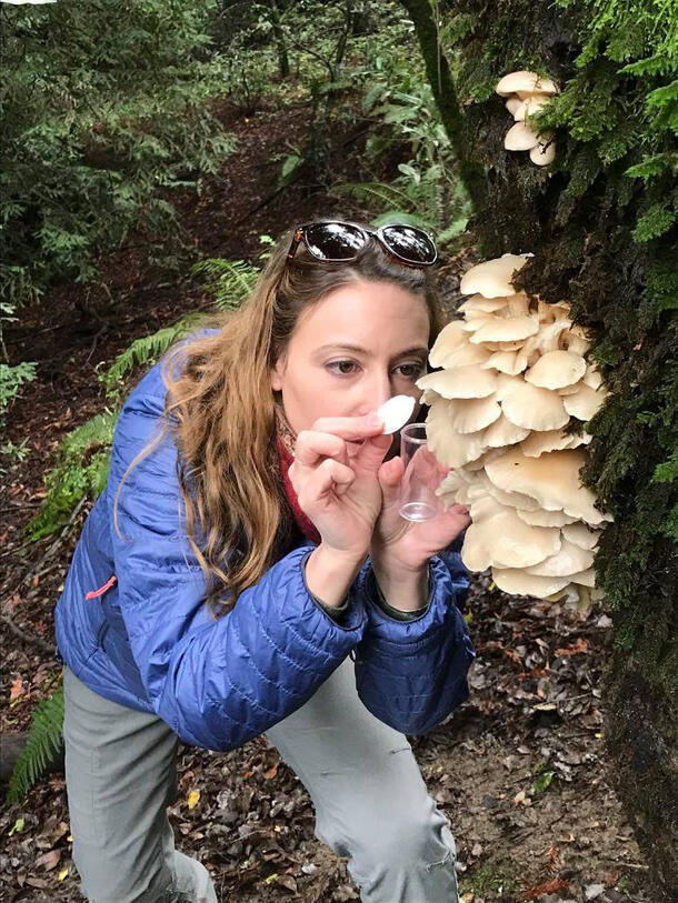 Anna Holden stands near fungus growing from a tree, holding a jar to capture fly specimens.