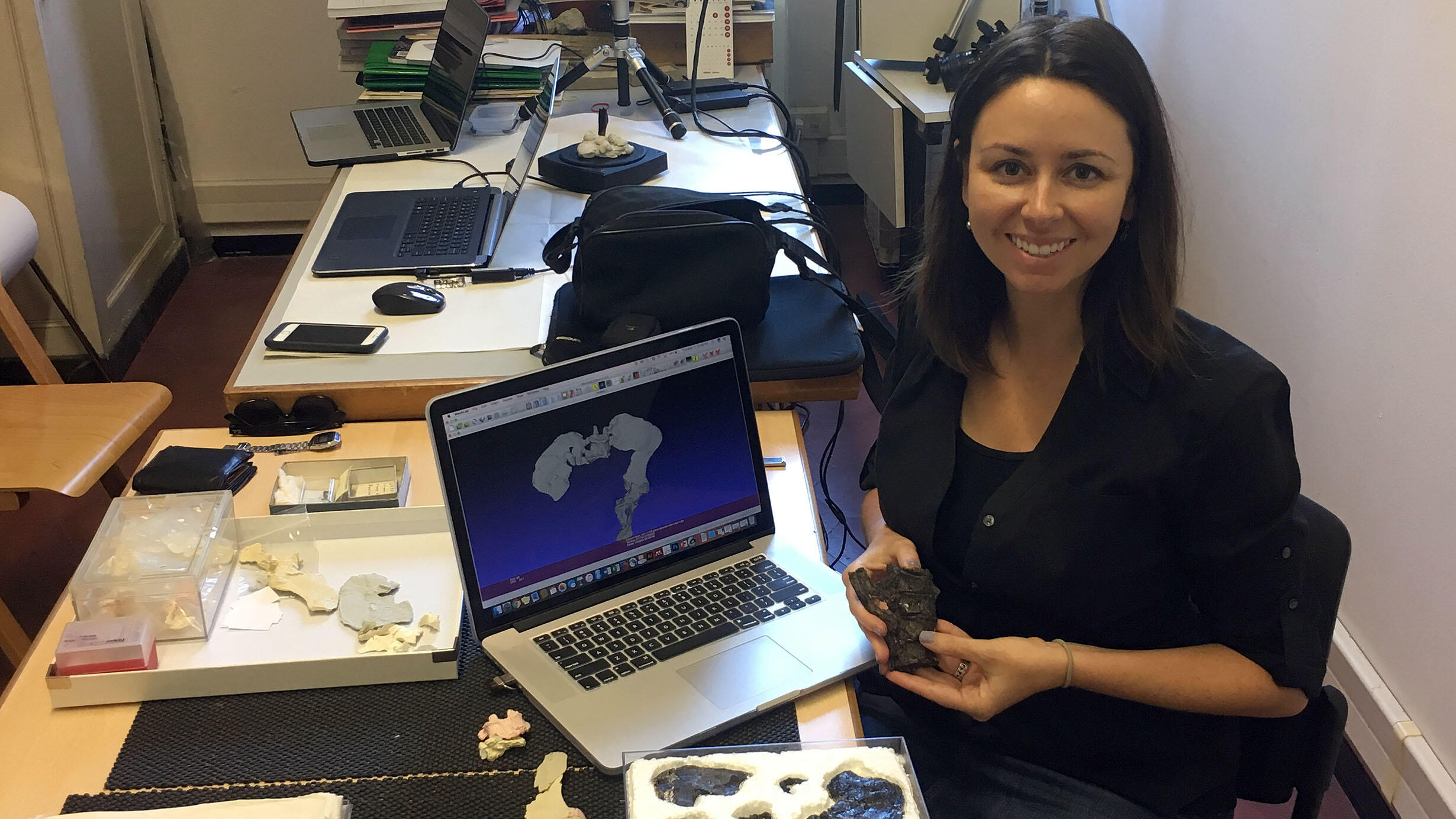 Ashley Hammond holding Oreopithecus bambolii skeleton specimen.