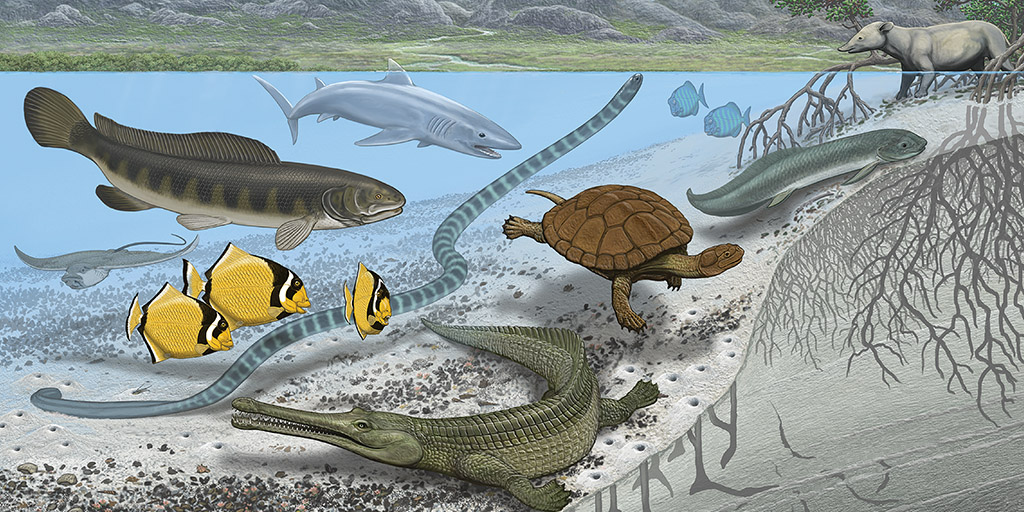 https://www.amnh.org/explore/news-blogs/research-posts/sea-snakes-catfish-sahara