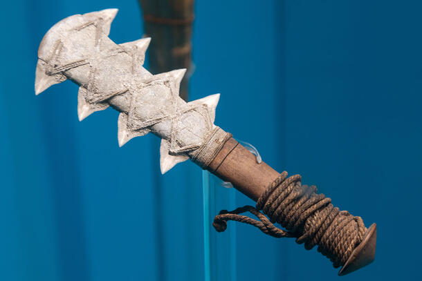 Shark tooth weapon hangs in a display case in the Margaret Mead Hall of Pacific Peoples.