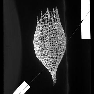 Glass model radiolarian.