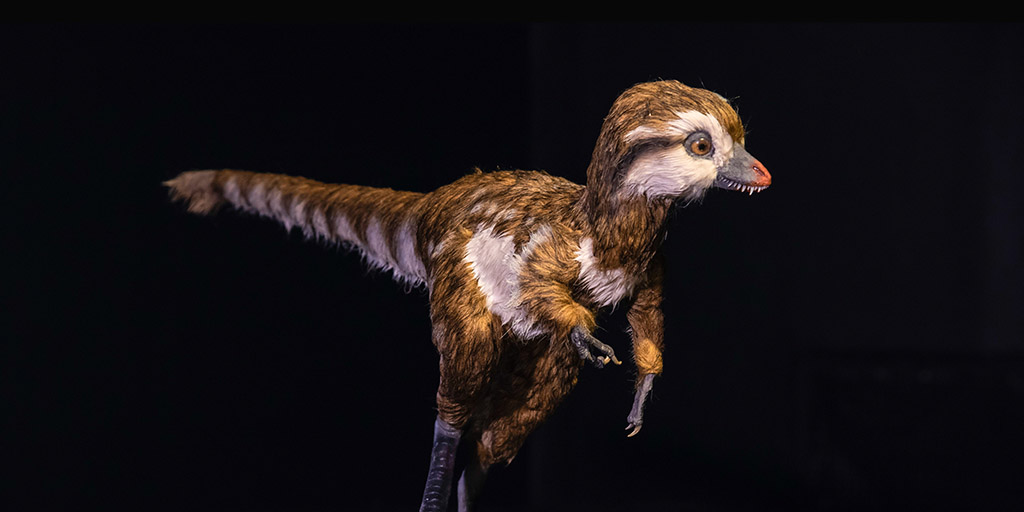amnh t rex exhibit