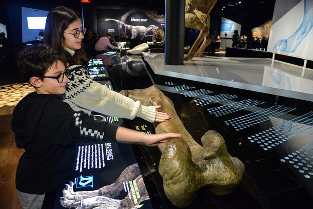Two visitors reach out their hands to touch the T. rex femur on display in the T. rex: Ultimate Predator exhibition.