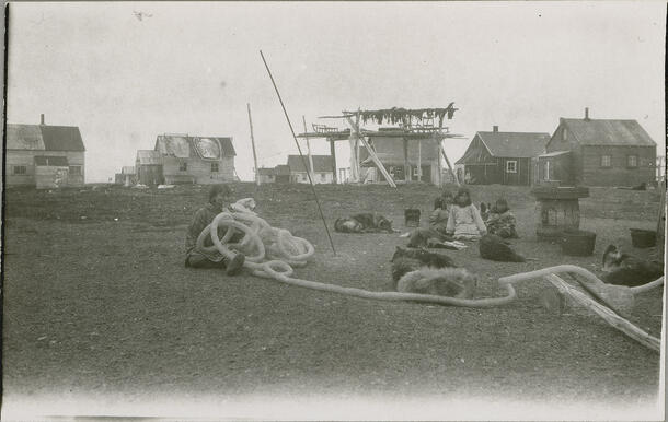 Yupik woman named Kiruka sits on the ground outdoors and unravels and inflates intestines.