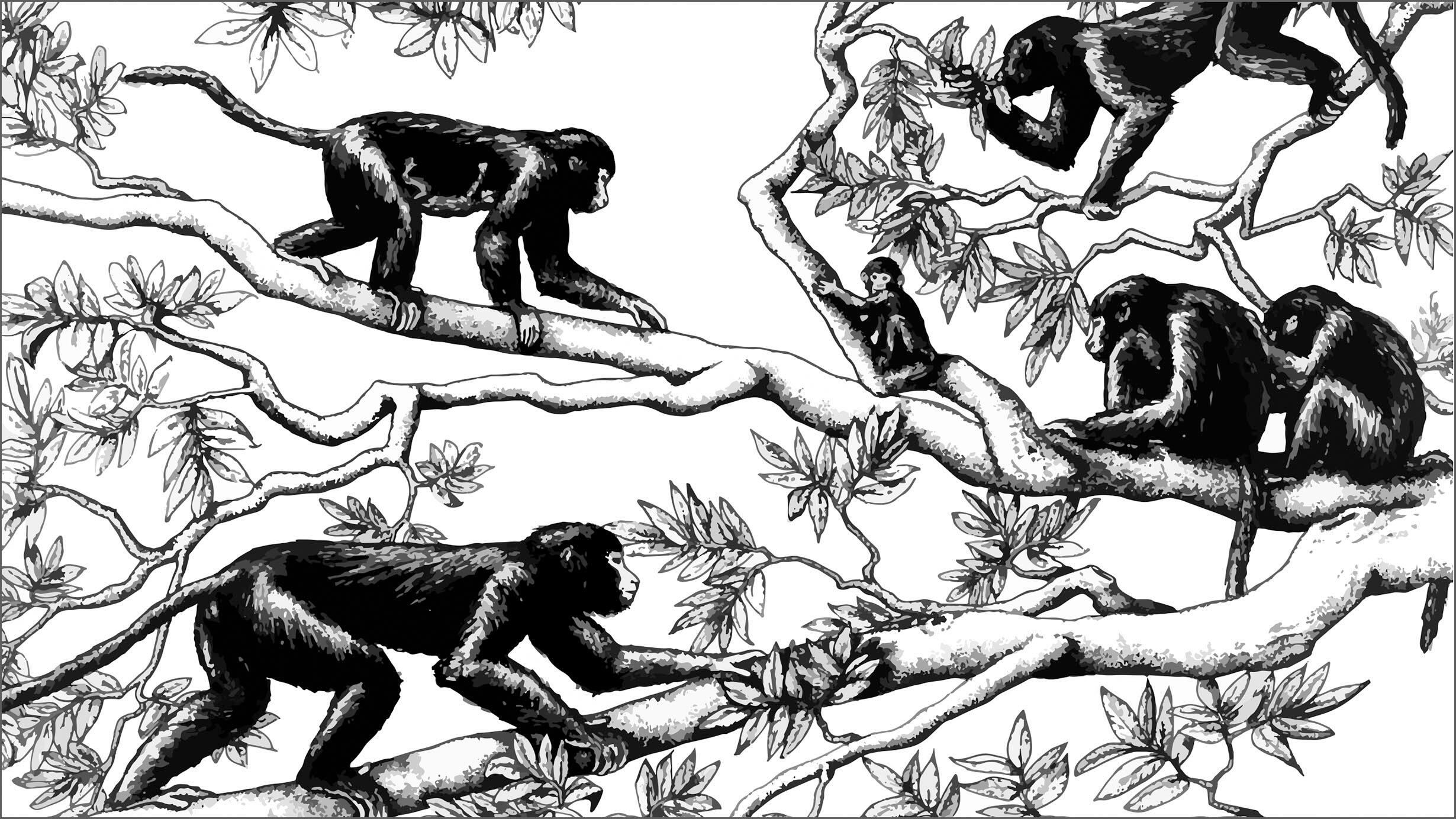 Rendering depicts four adult and one juvenile primate on the branches of a tree.