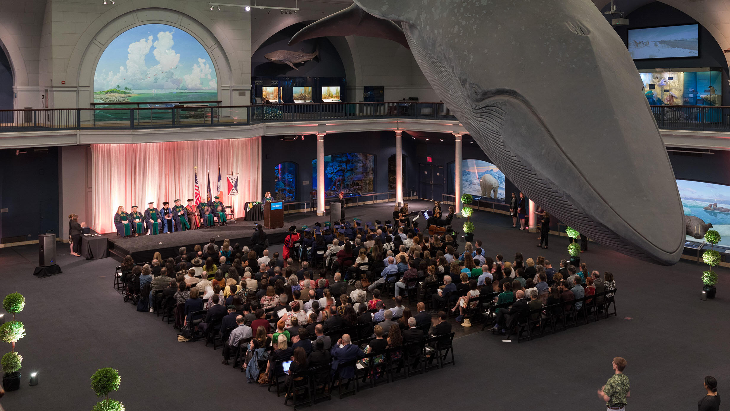 Participants and guests are seated under the blue whale for the 2019 graduation ceremony for the Richard Gilder Graduate School.