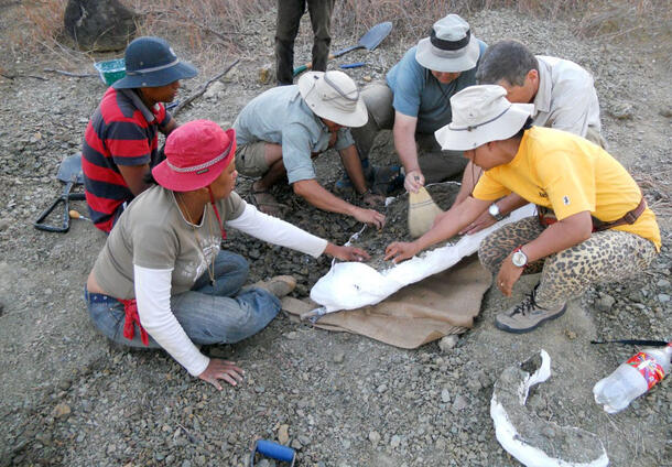 Seven team members are gathered around a specimen, attempting to delicately excavate it from the surrounding earth. 