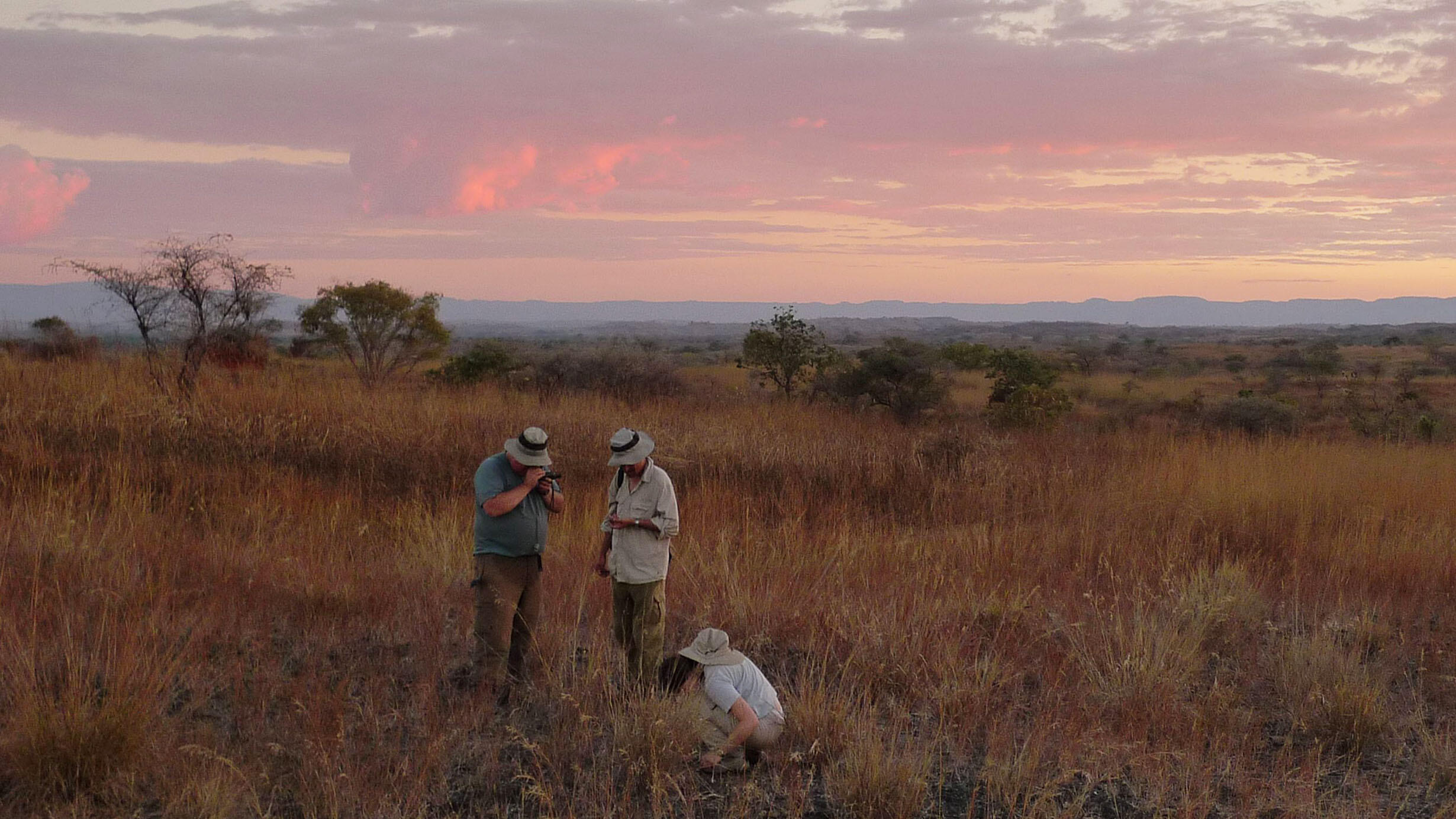 Three scientists closely examine an area of an open field.