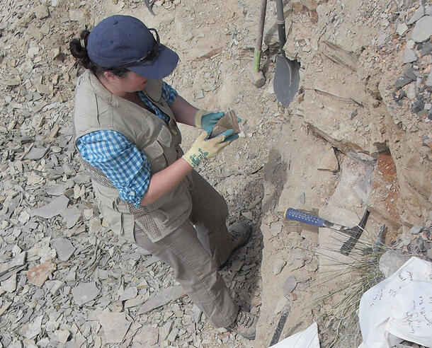 Melanie Hopkins stands near a rocky outcrop, holding a specimen she has excavated.