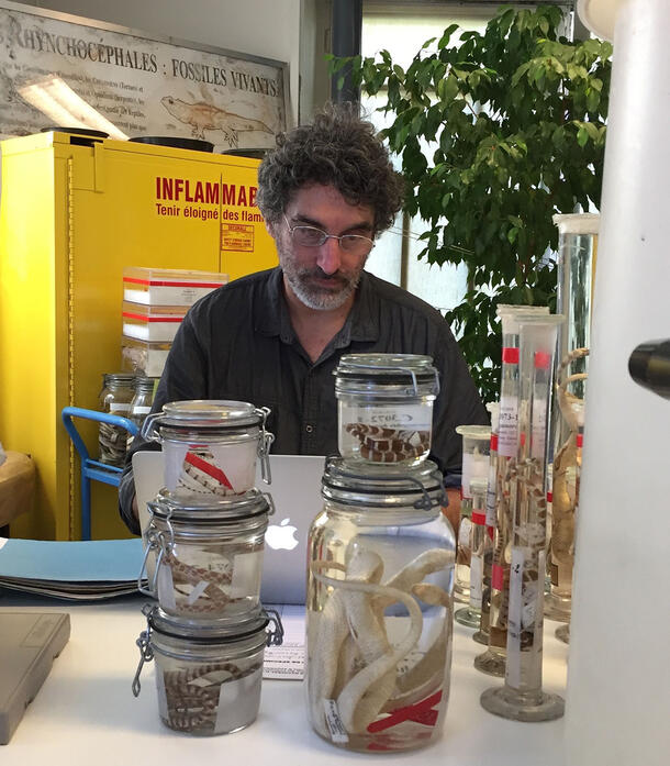 Museum curator Chris Raxworthy sits at lab table containing stacked jars of specimens.