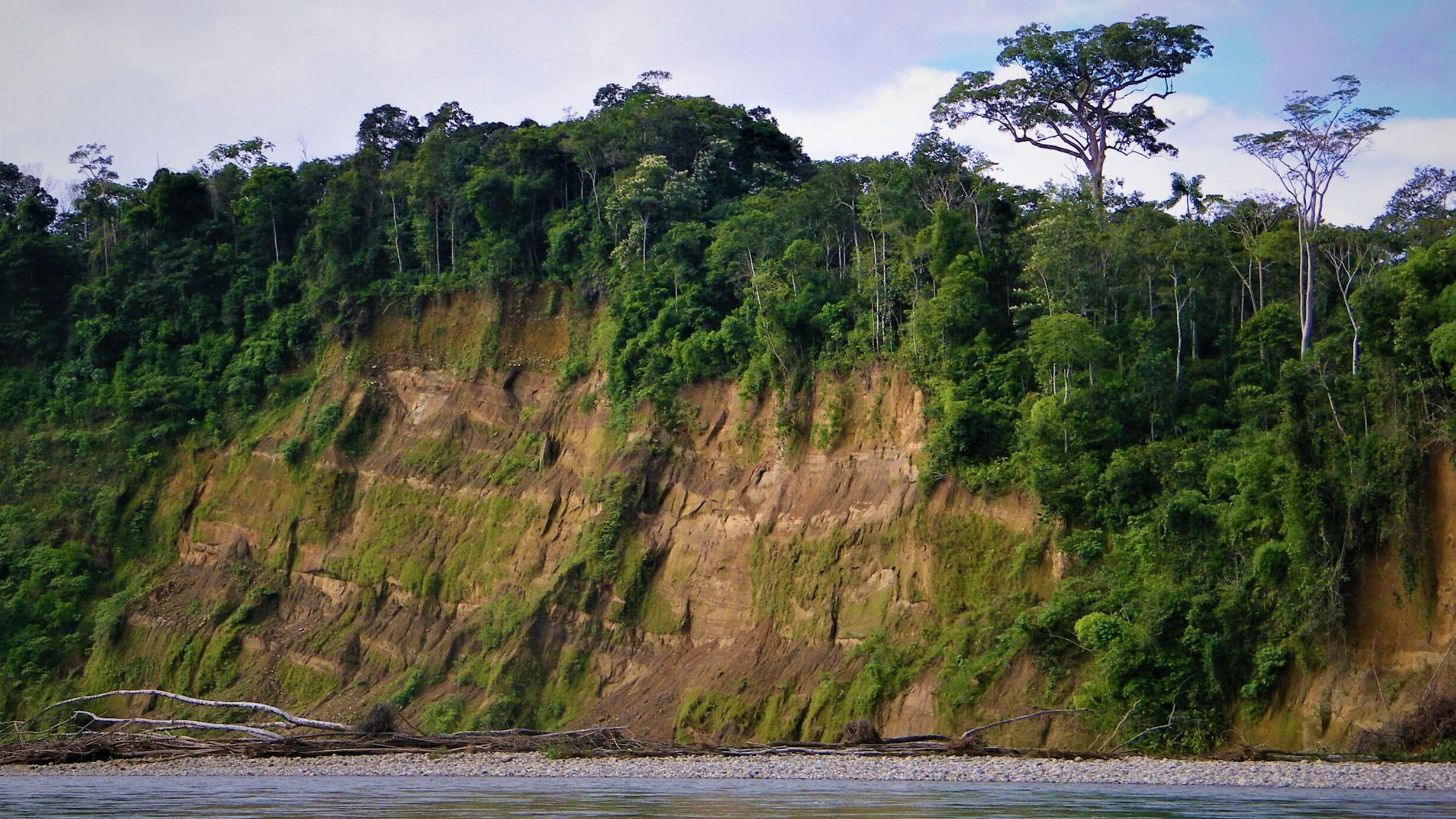 Tree-covered banks like a river.