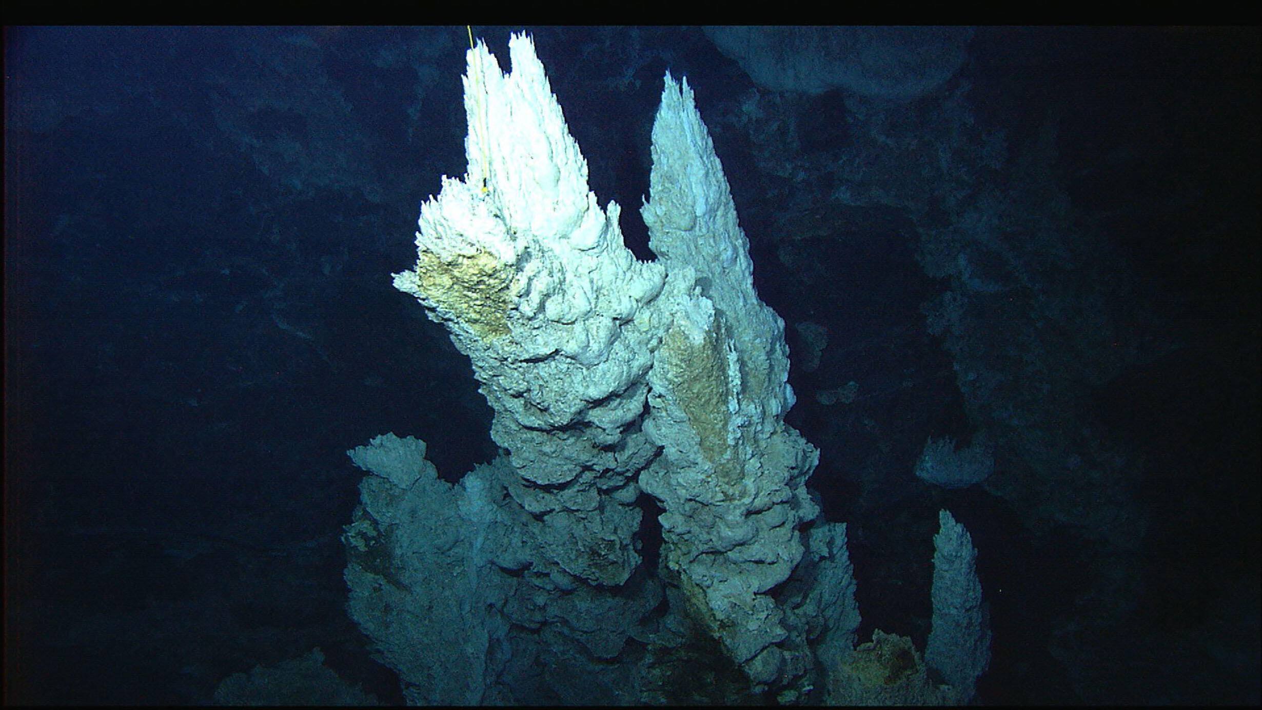 Jagged thin spires of hydrothermal vents underwater.