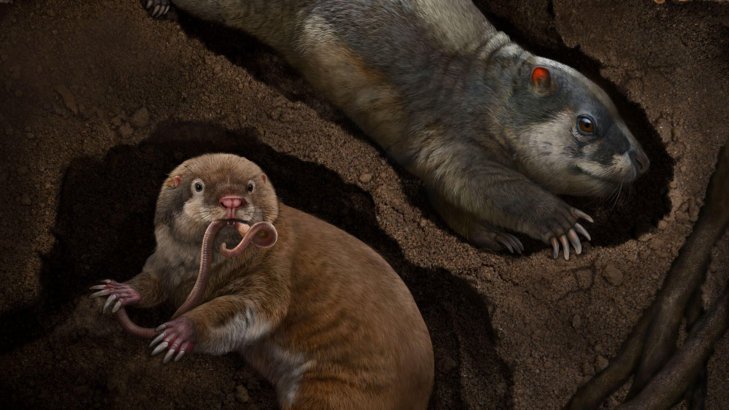 Two mammal ancestors depicted in underground burrows.