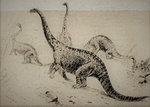 Artist's rendering of four long-necked sauropods.