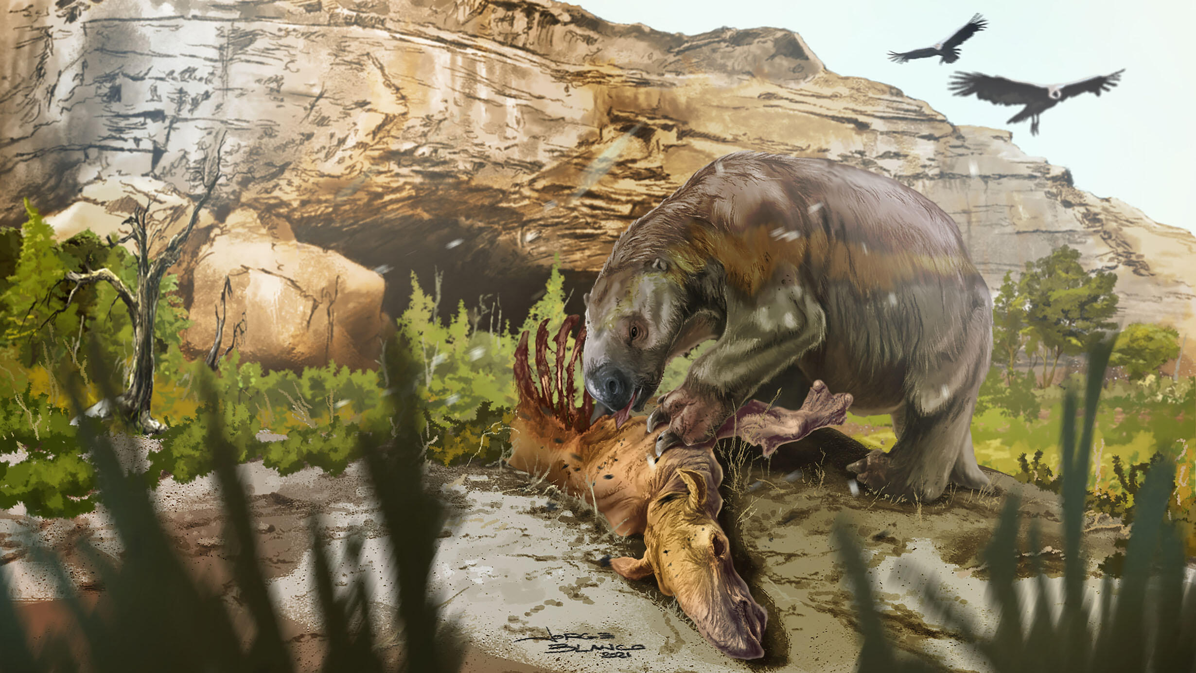 Artist's rendering of a giant ground sloth, Mylodon, standing near a rocky outcrop and devouring the carcass of a smaller mammal, Macrauchenia.