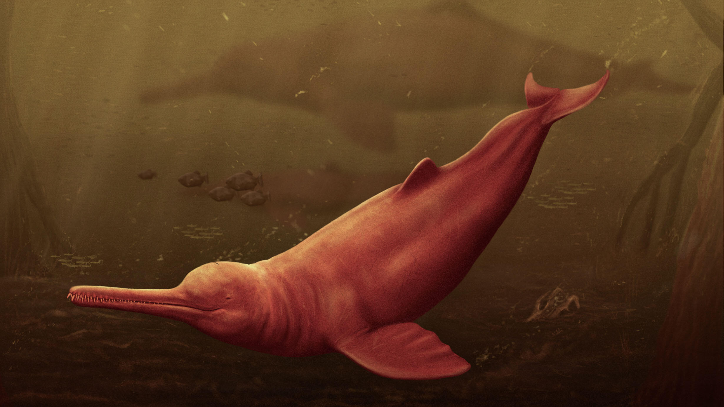 Artist's rendering of an ancient freshwater dolphin with a long snout in murky waters, with other creatures in the background.