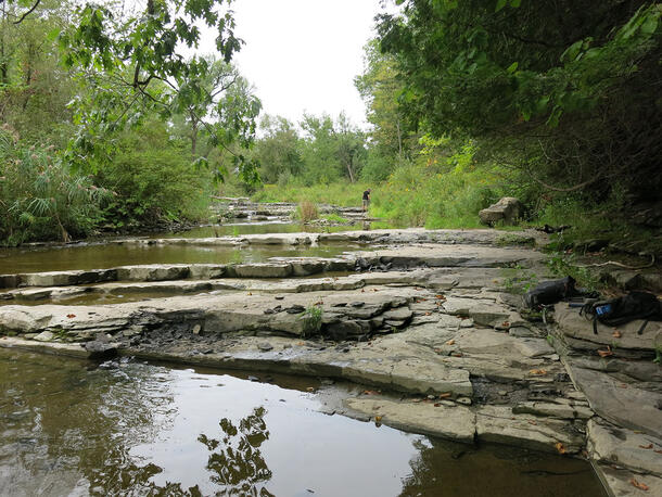 The rocky bank of a shallow river, surrounded by trees on both sides, in the Mohawk Valley, New York.
