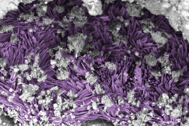 A false-colored close-up on the Bennu asteroid sample depicting hydrated sodium carbonate needles in a brighter color beside pale clumps.